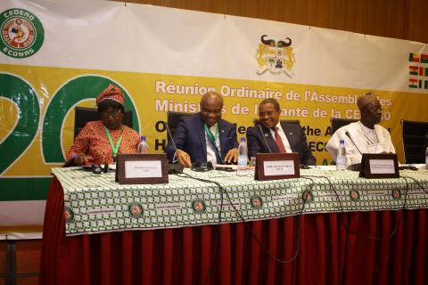 Plenary Session at AHM 2019 Cotonou.